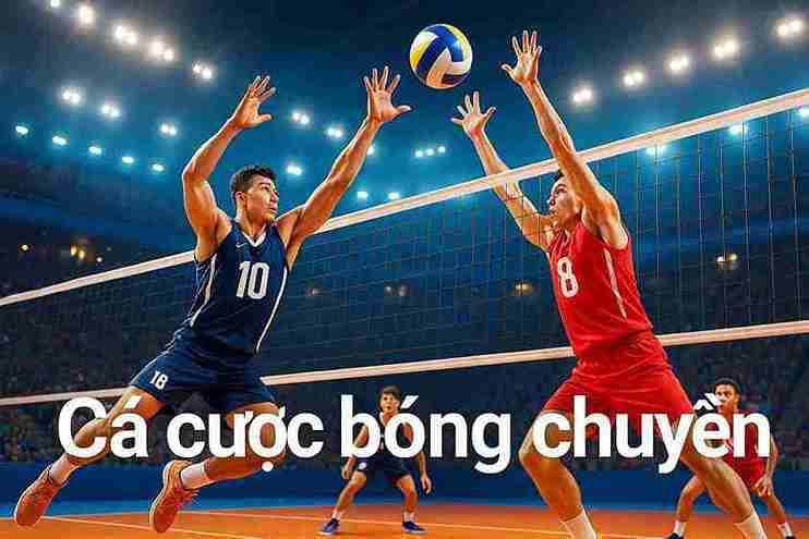 Cá Cược Bóng Chuyền 888P – Đỉnh Cao Cùng Mọi Trận Đấu